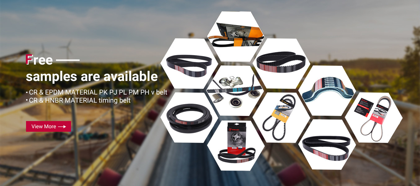 courroie trapézoïdale à nervures (pk pj ph pl pm)