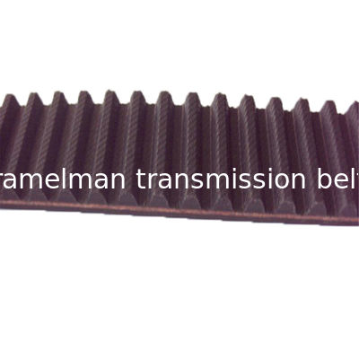 Vente chaude OEM 6 138 677/130zb25.4 pour Ford AUDI VW courroie de transmission de puissance courroie de distribution moteur pièces de rechange automobiles Ramelman