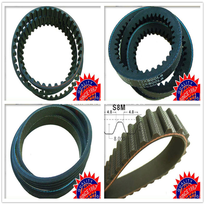 Courroie de distribution Auto courroie trapézoïdale OEM AVX13X875/99436608/0811818381/0069976492 courroie trapézoïdale crantée Courroie de distribution Ramelman
