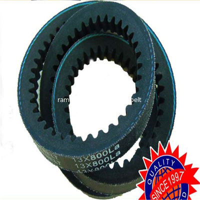 Courroie de distribution Auto courroie trapézoïdale OEM AVX13X875/99436608/0811818381/0069976492 courroie trapézoïdale crantée Courroie de distribution Ramelman