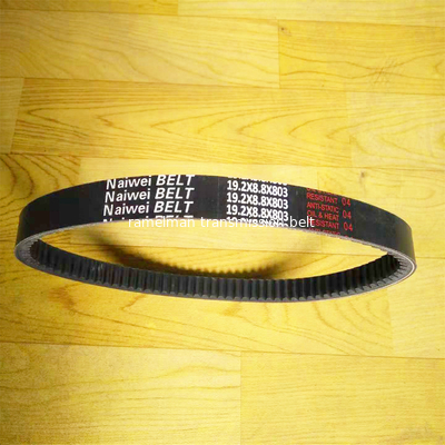 Courroie de distribution Courroie trapézoïdale automatique OEM AVX10X1005/6112414/9832114/90231797/575020 courroie trapézoïdale crantée courroie de ventilateur Ramelman courroie trapézoïdale