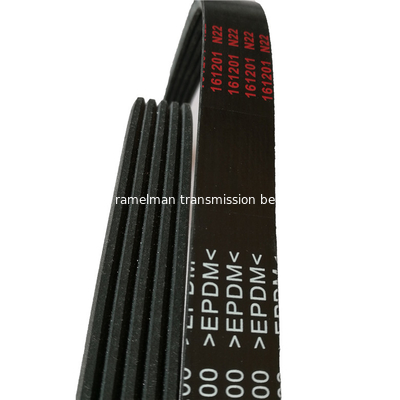 Pièces d'origine adaptées à la courroie de la pelle KOMATSU 360 courroie de ventilateur courroie 8PK1217 8PK1615 courroie continentale ramelman courroie en v