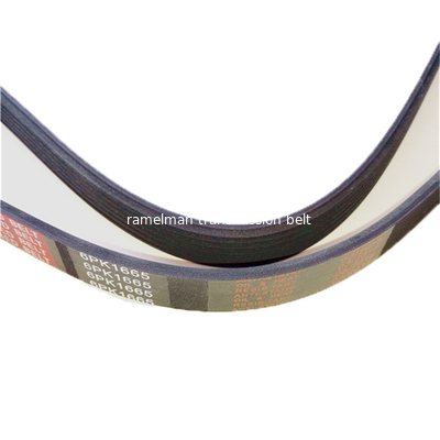 Ceinture de moteur 8PK1340/9PK1905/8PK1689 pour moteur KOMATSU